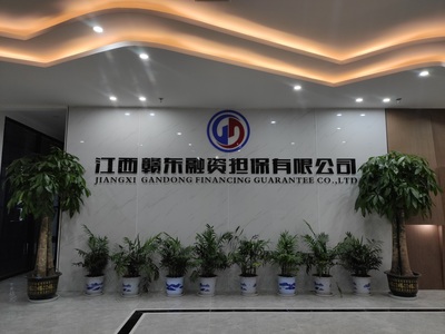 江西贛東地區(qū)合伙企業(yè)注冊流程與融資擔(dān)保行業(yè)準(zhǔn)入指南